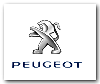 PEUGEOT FINANCE ( )     PEUGEOT  CITROEN